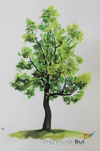 CÁCH VẼ CÂY CƠ BẢN BẰNG MÀU GOUACHE