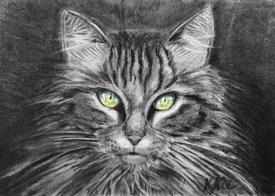[HN]Bài tốt nghiệp khóa Chân Dung Căn Bản 11