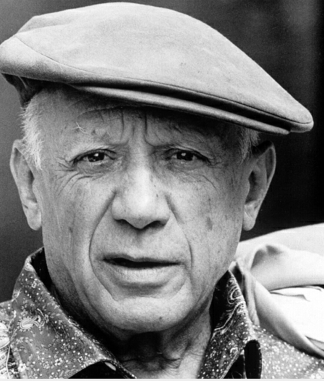 Chân dung danh họa Picasso