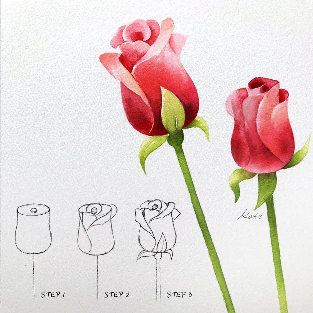 Cách vẽ hoa hồng đơn giản khác