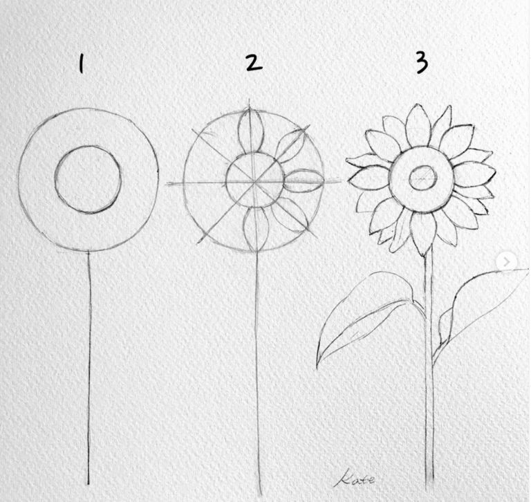3 bước vẽ hoa hướng dương cho người mới bắt đầu