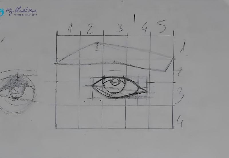 Vẽ tròng đen và đồng tử của mắt
