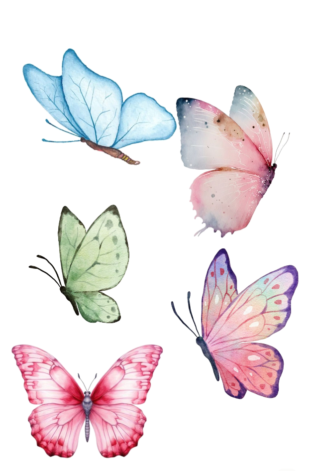 Tranh vẽ con bướm đẹp