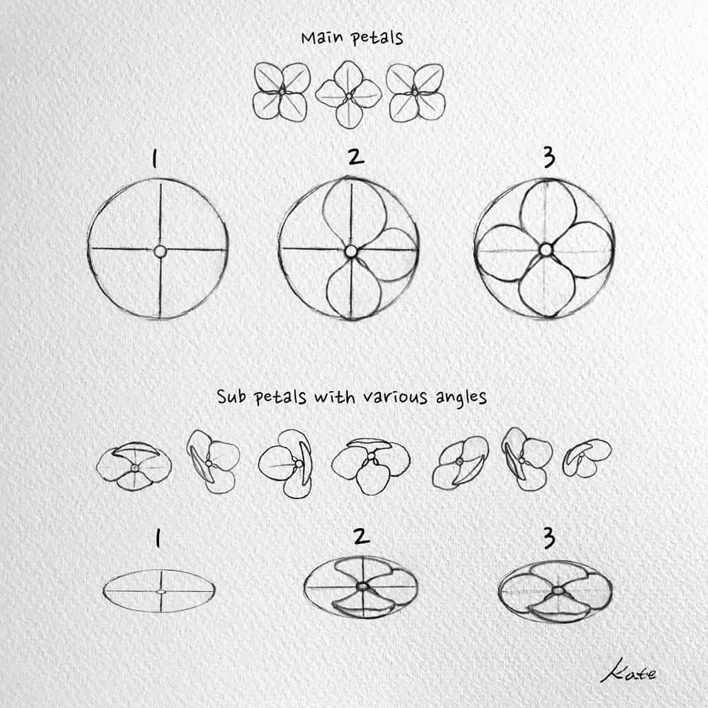 Tạo phác thảo cơ bản