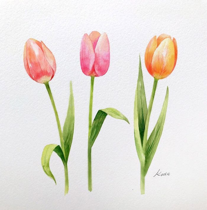 Tranh vẽ hoa tulip