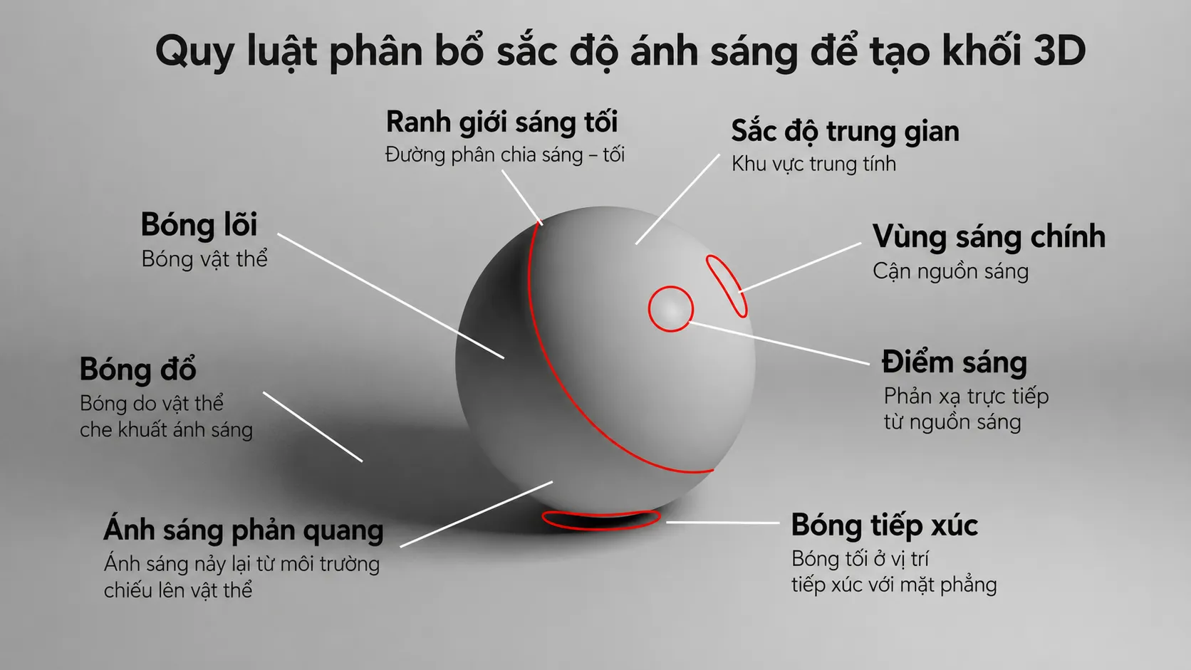 Quy luật phân bổ sắc độ ánh sáng để tạo khối 3D