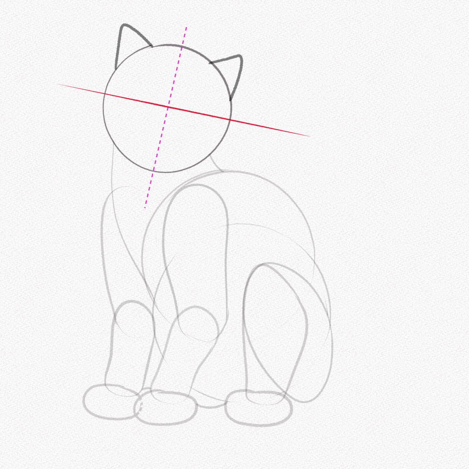 học kiểu vẽ con cái mèo bước 14