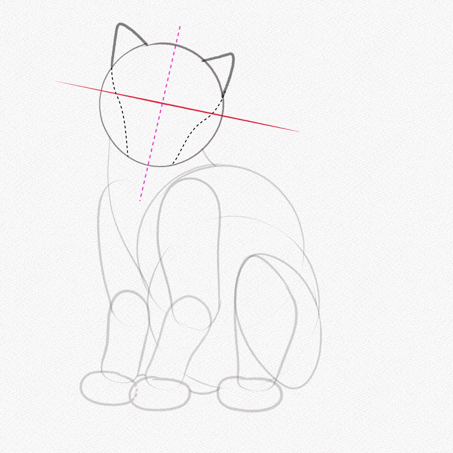 Hướng dẫn vẽ con mèo How to Draw A Cat CoNgaMamnonDaybeve  YouTube