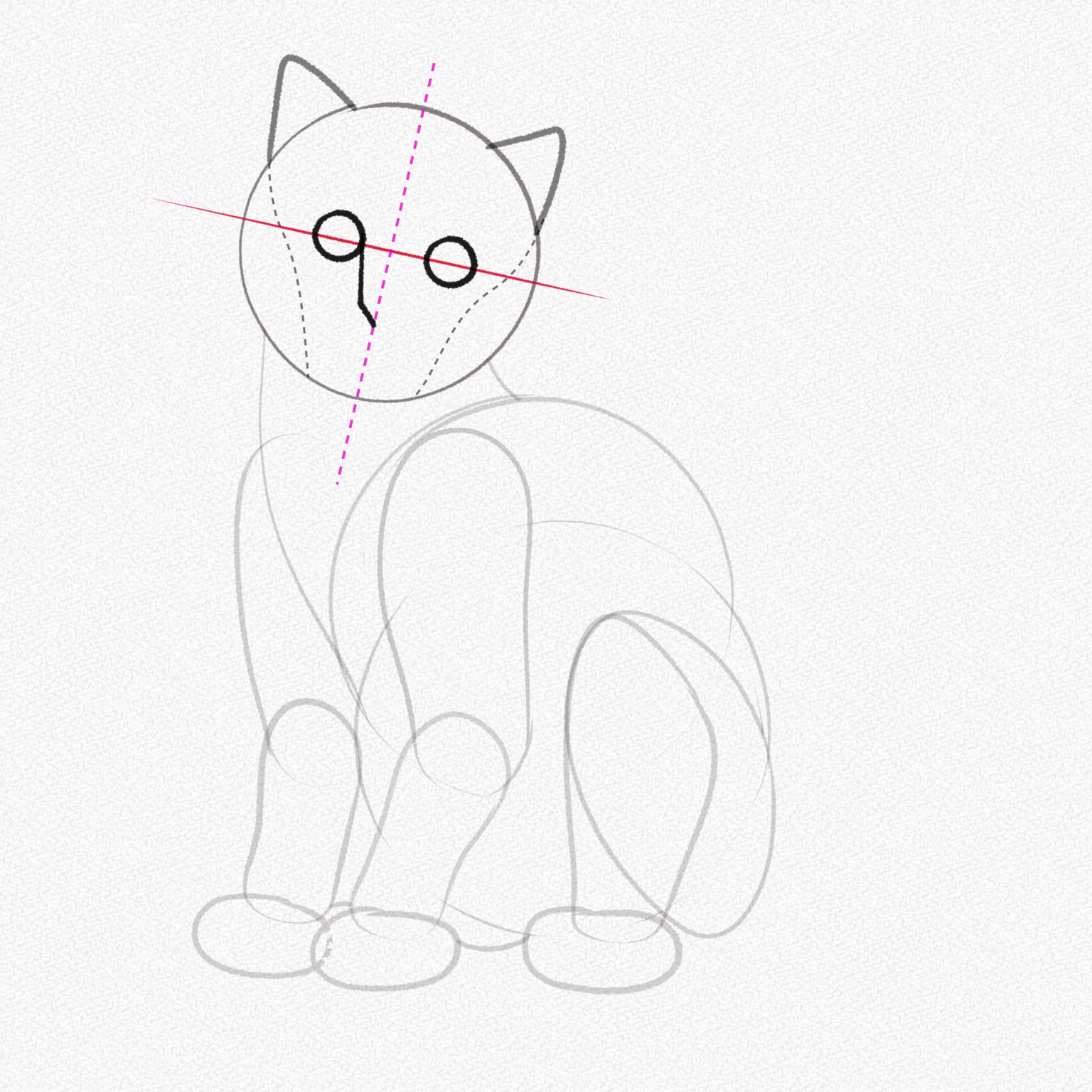 cách vẽ mũi của con cái mèo 