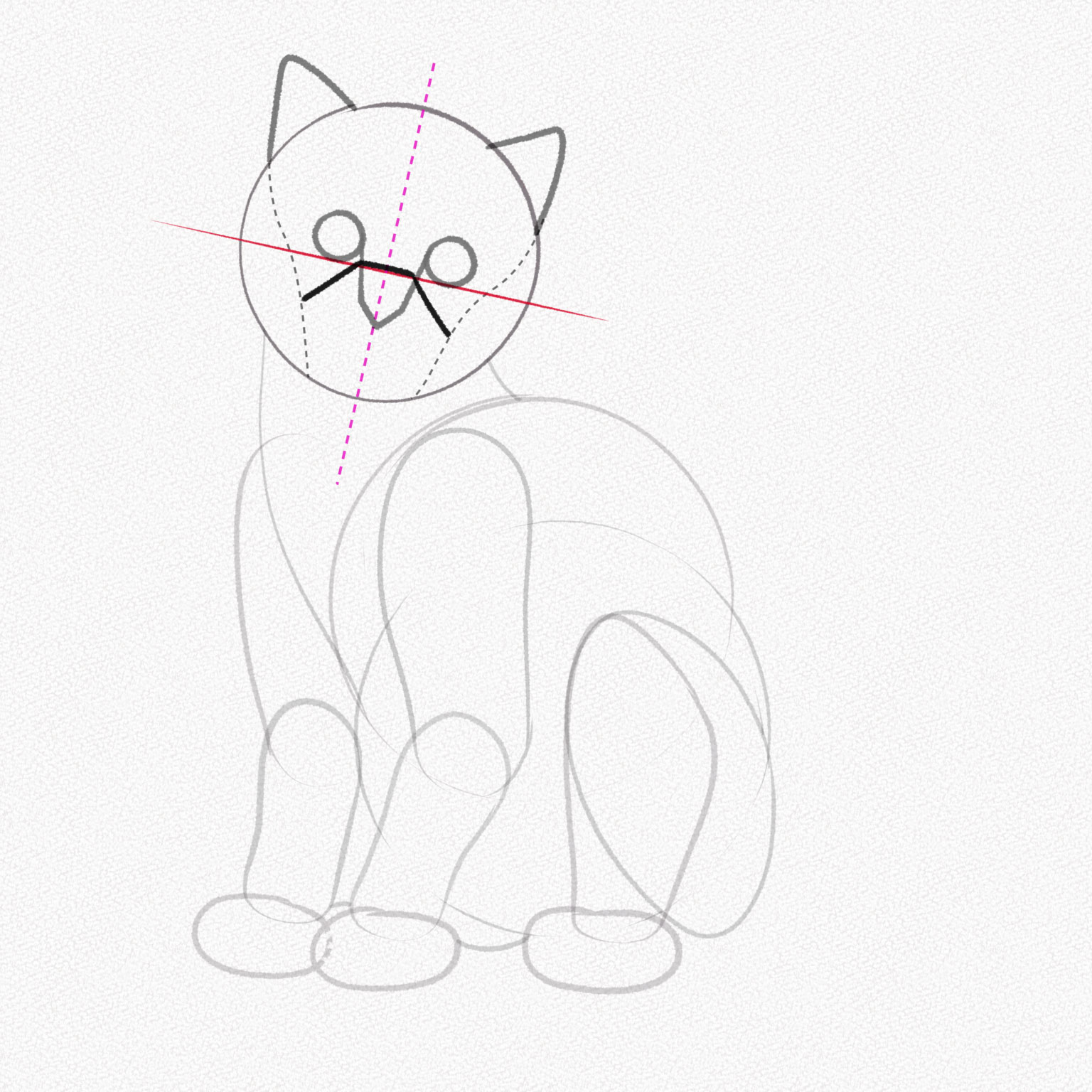 dạy vẽ con cái mèo đơn giản và giản dị 