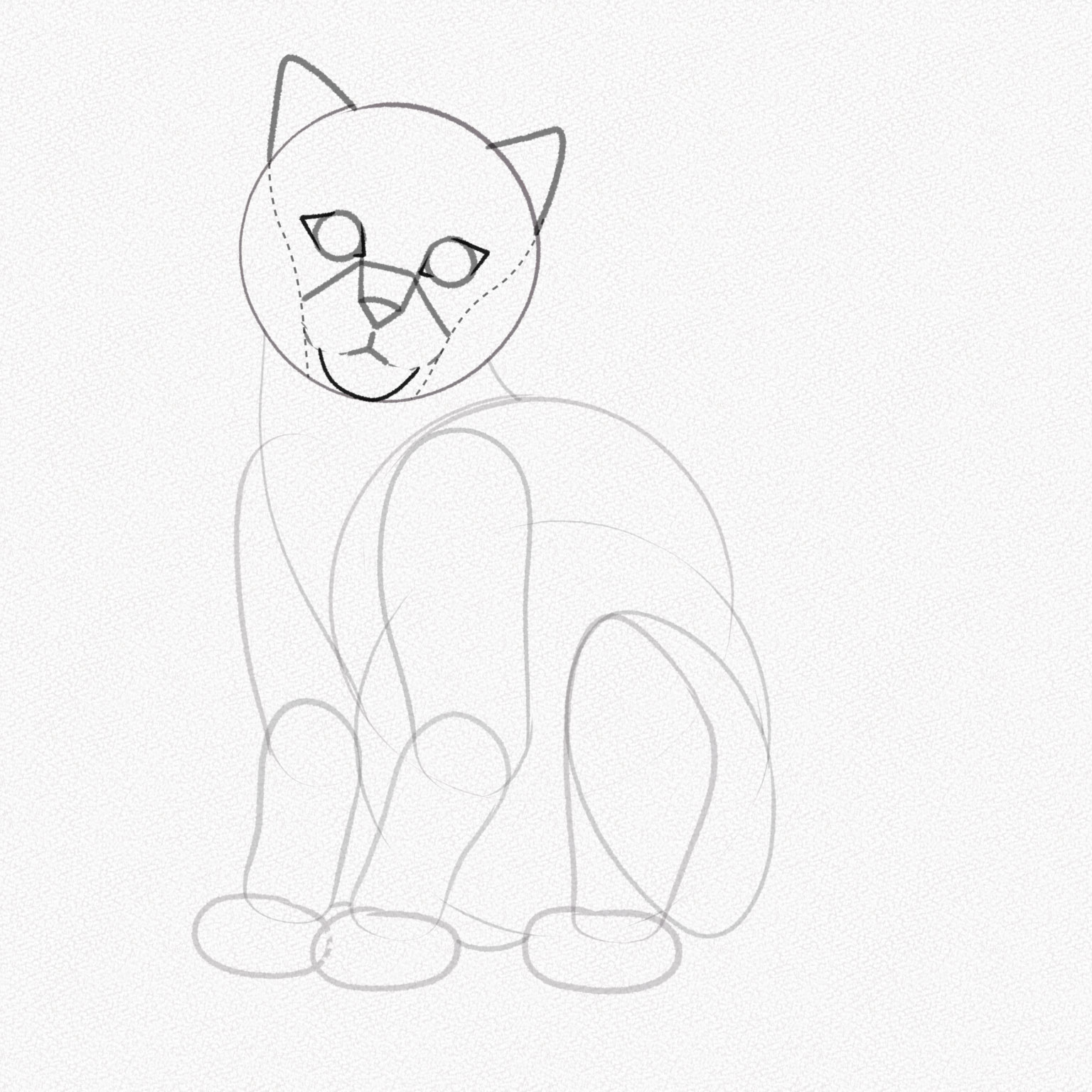 chi tiết cách vẽ con mèo