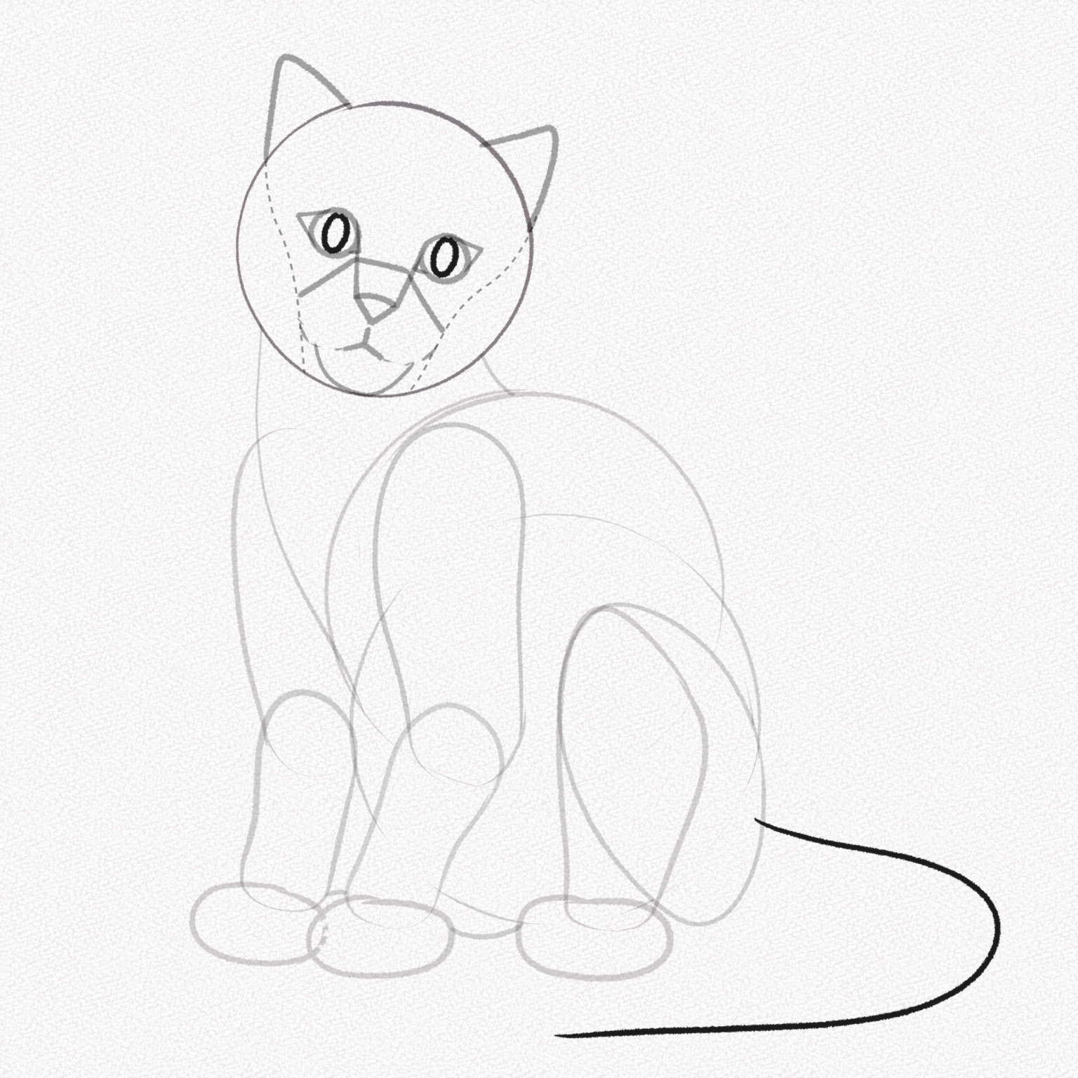 hướng dẫn vẽ con cái mèo 