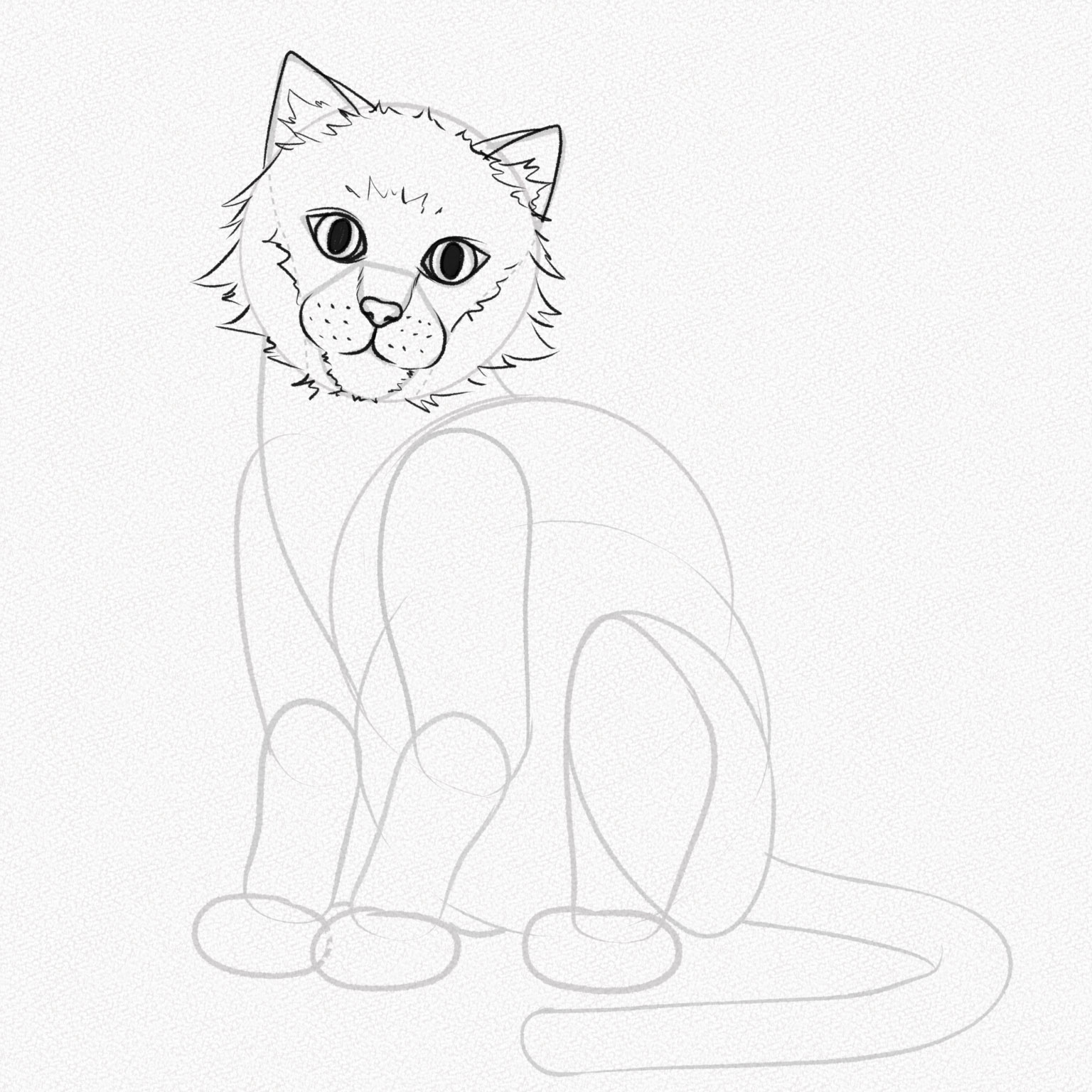 Học Vẽ Con Mèo - Hướng Dẫn 30 Bước Cơ Bản Nhất Mỹ Thuật Bụi