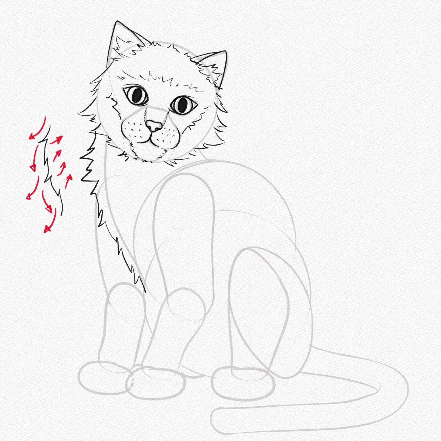 vẽ con mèo đơn giản 