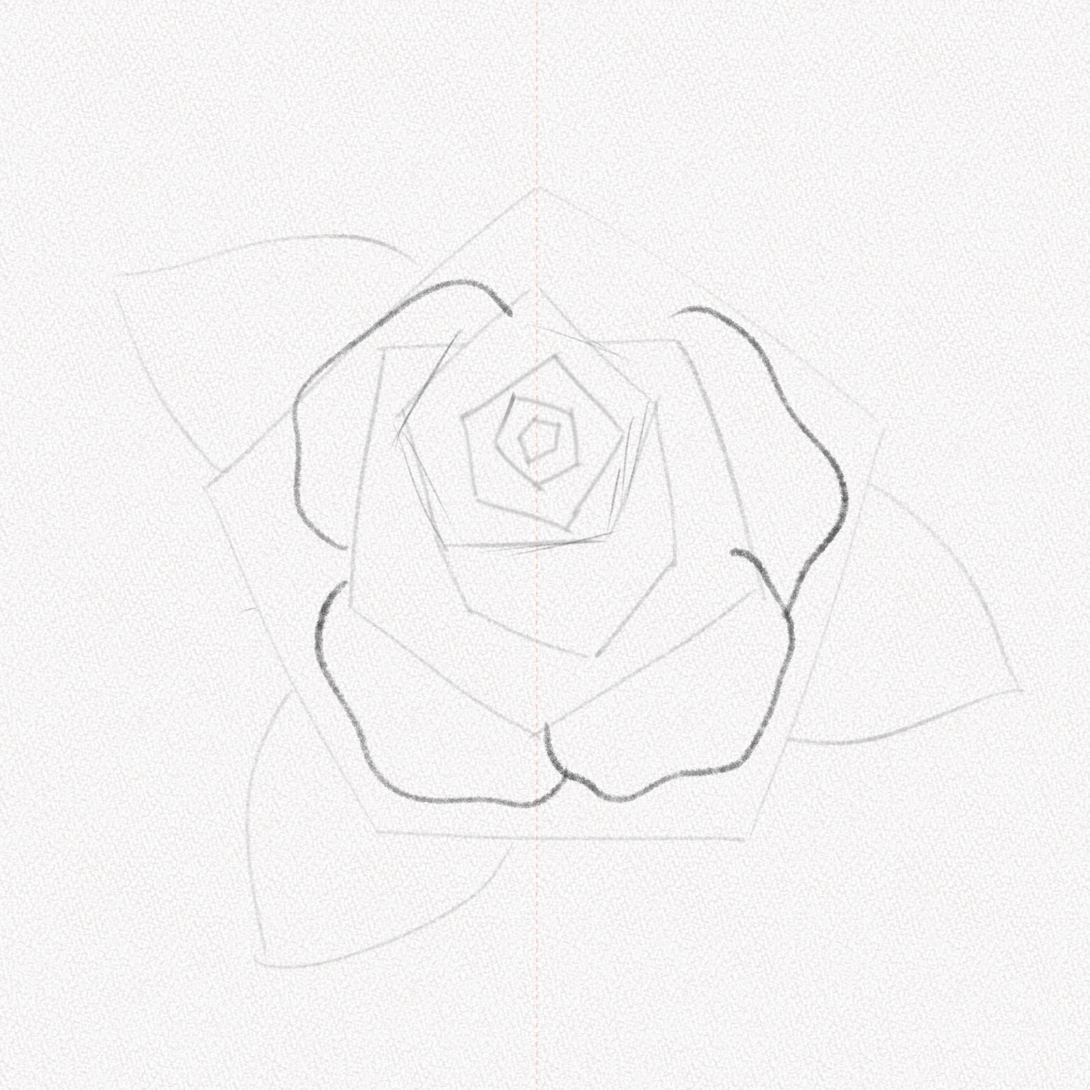 Cách vẽ hoa hồng nở to và đẹp  How to Draw a Rose step by step  Drawing  rose tutorial for beginner  YouTube
