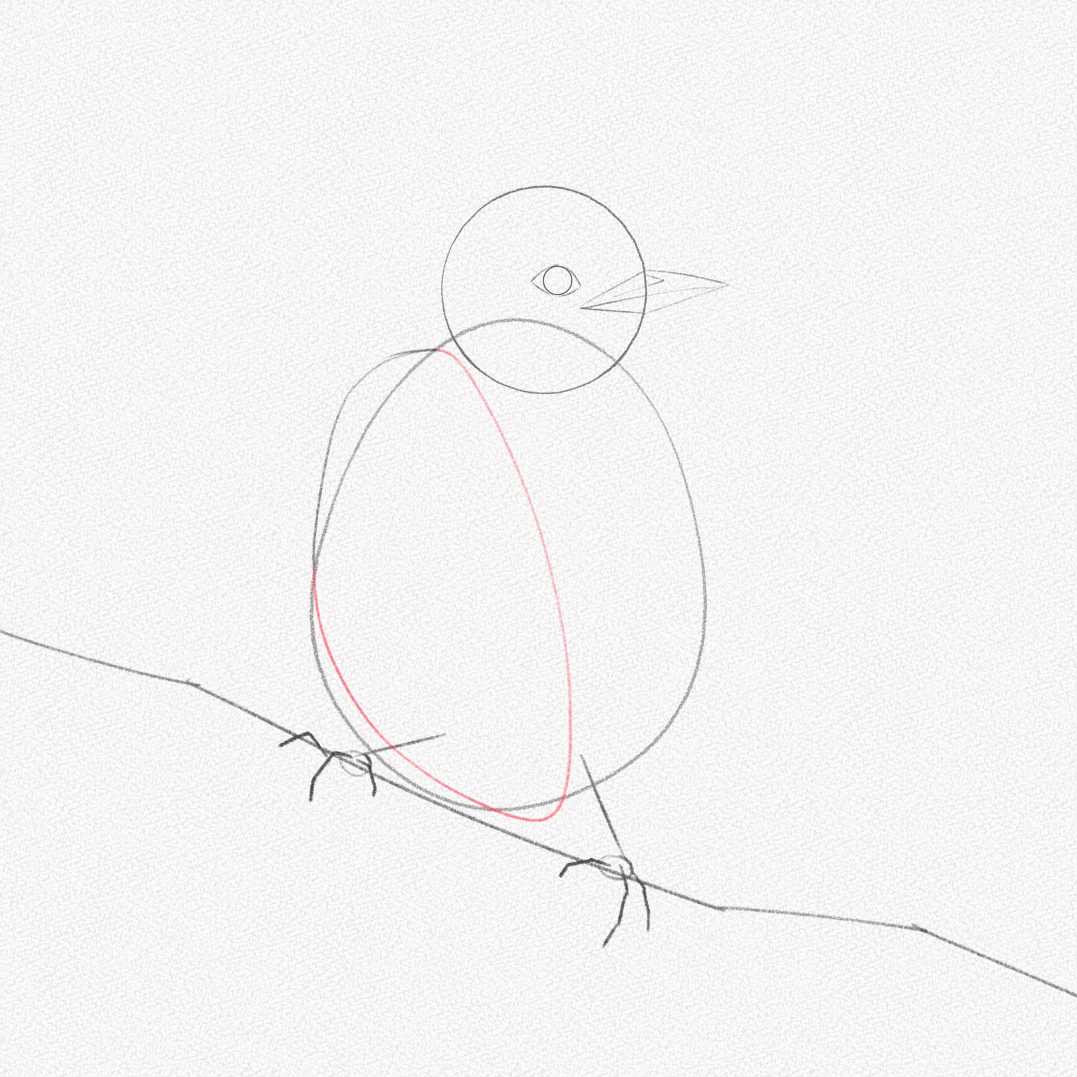 Học Cách Vẽ Chim Đơn Giản Với 31 Bước | Mỹ Thuật Bụi