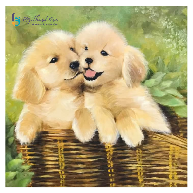 ve cho cute