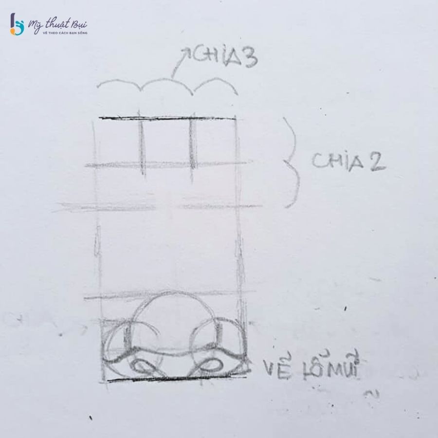 Chia phần trên cùng của mũi thành 2 phần