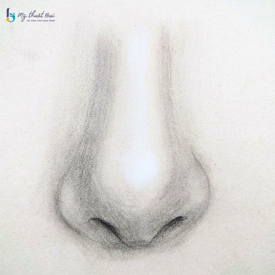 Hình vẽ mũi