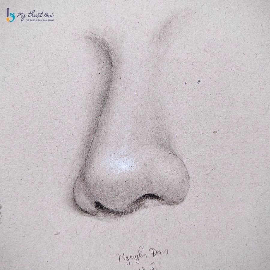 Hình vẽ mũi