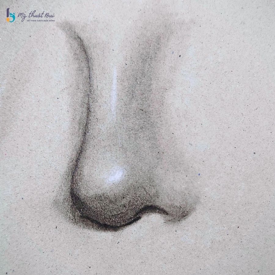 Hình vẽ mũi