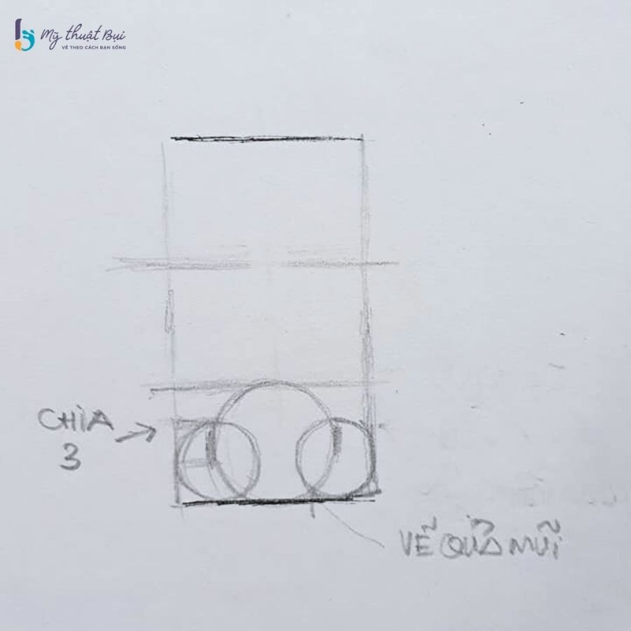 Phác thảo khối quả mũi