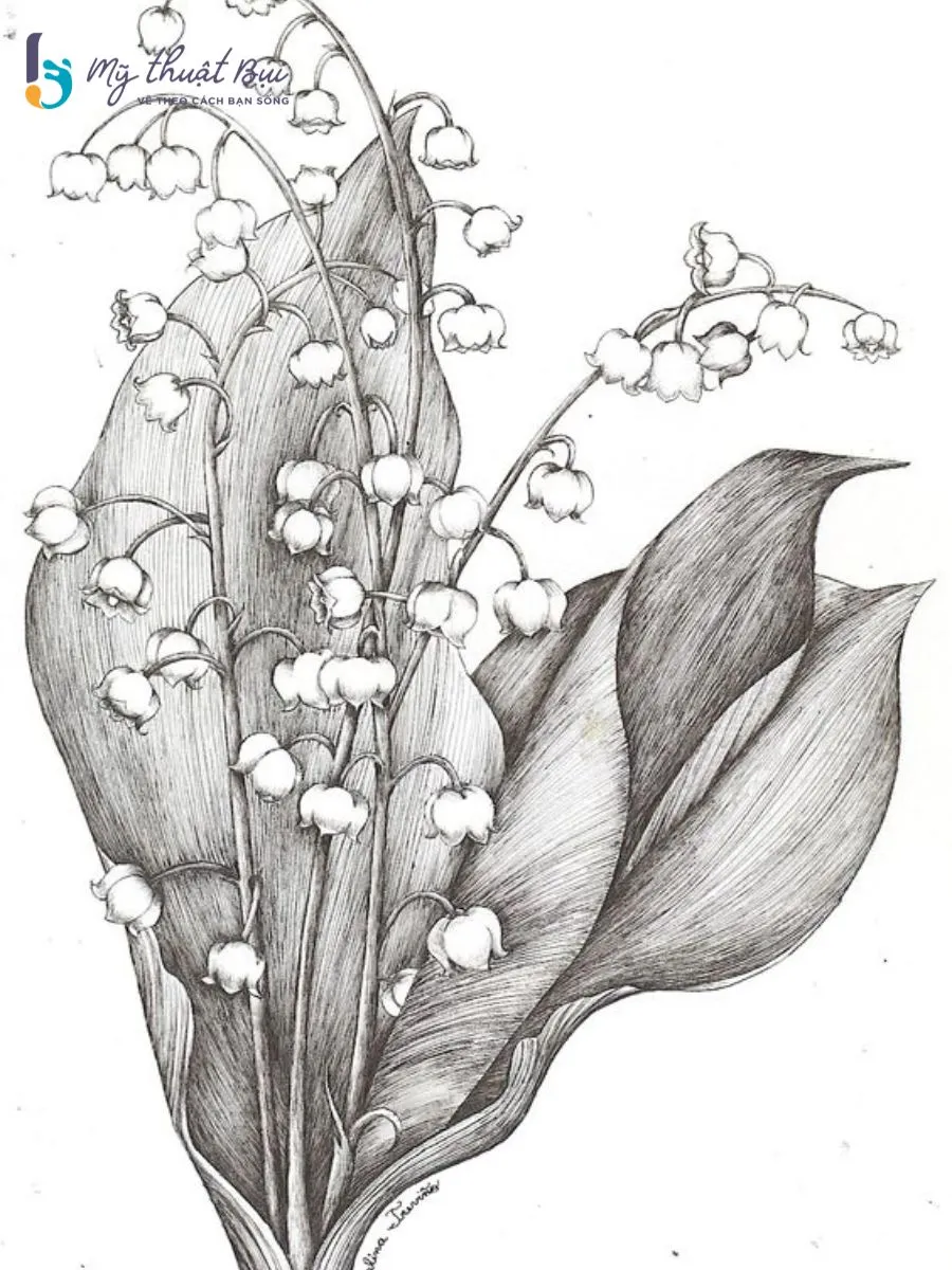 Tranh ký họa hoa 1 Tranh ký họa hoa 1