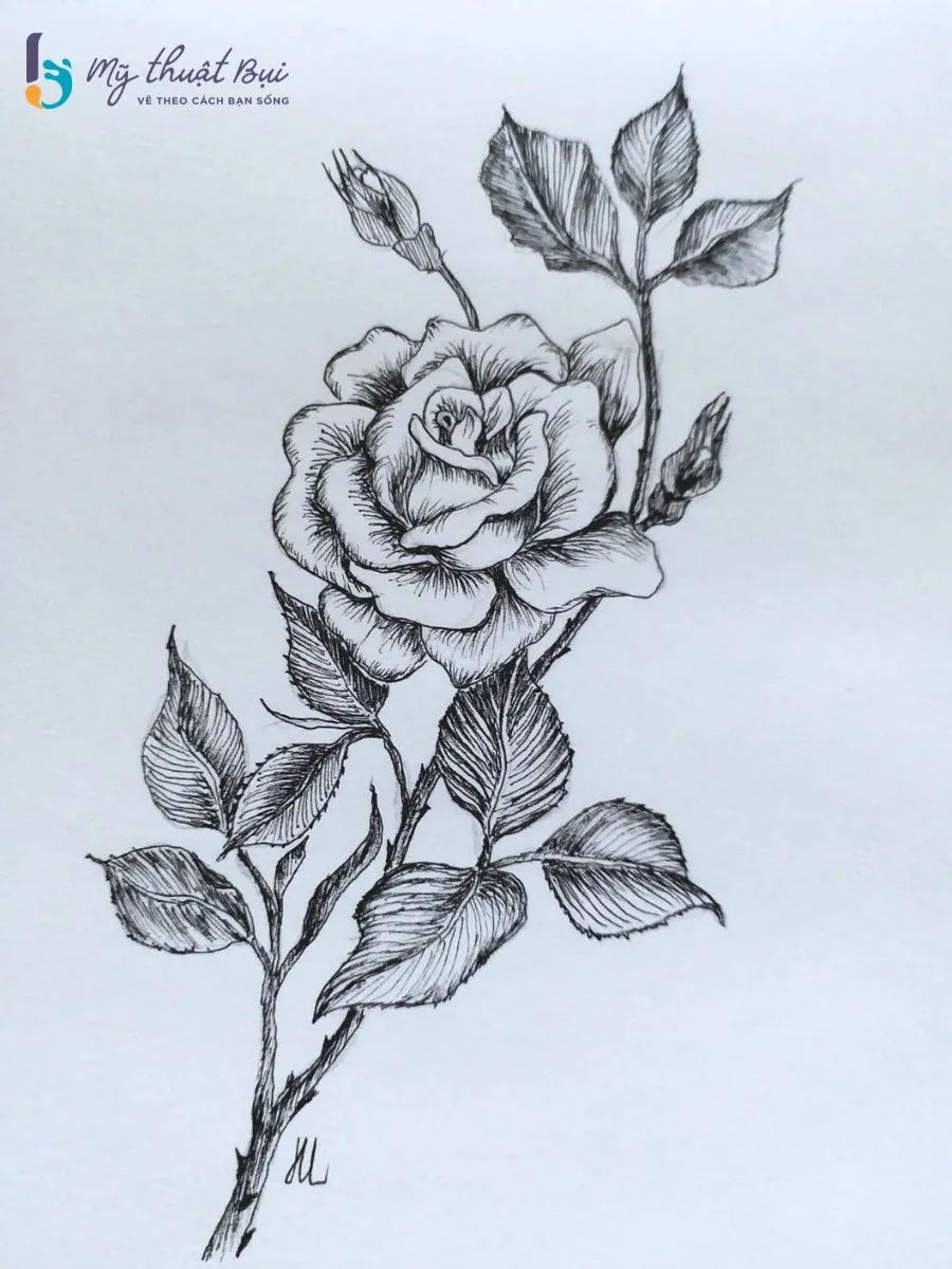 Tranh ký họa hoa 2 Tranh ký họa hoa 2