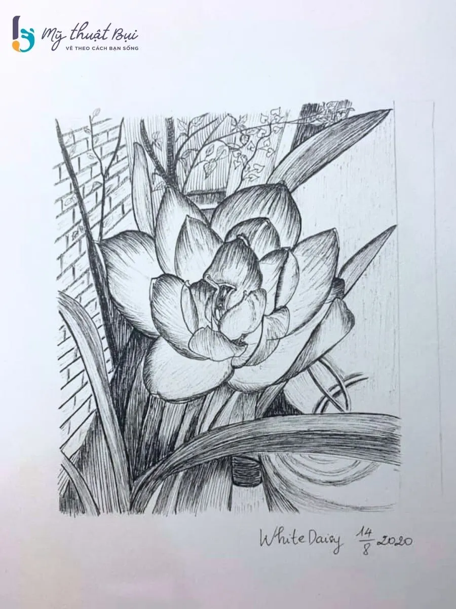 Tranh ký họa hoa 4 Tranh ký họa hoa 4