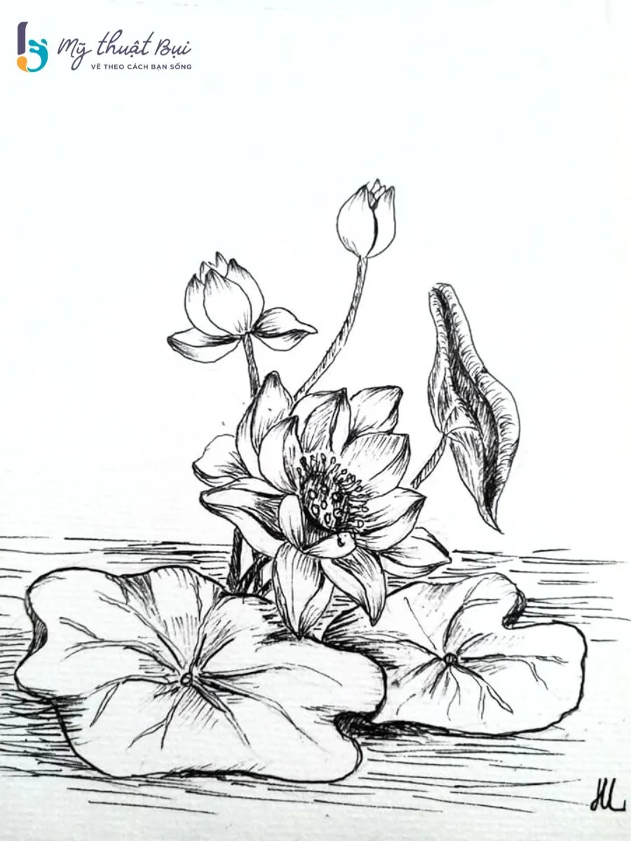 Tranh ký họa hoa 6 Tranh ký họa hoa 6