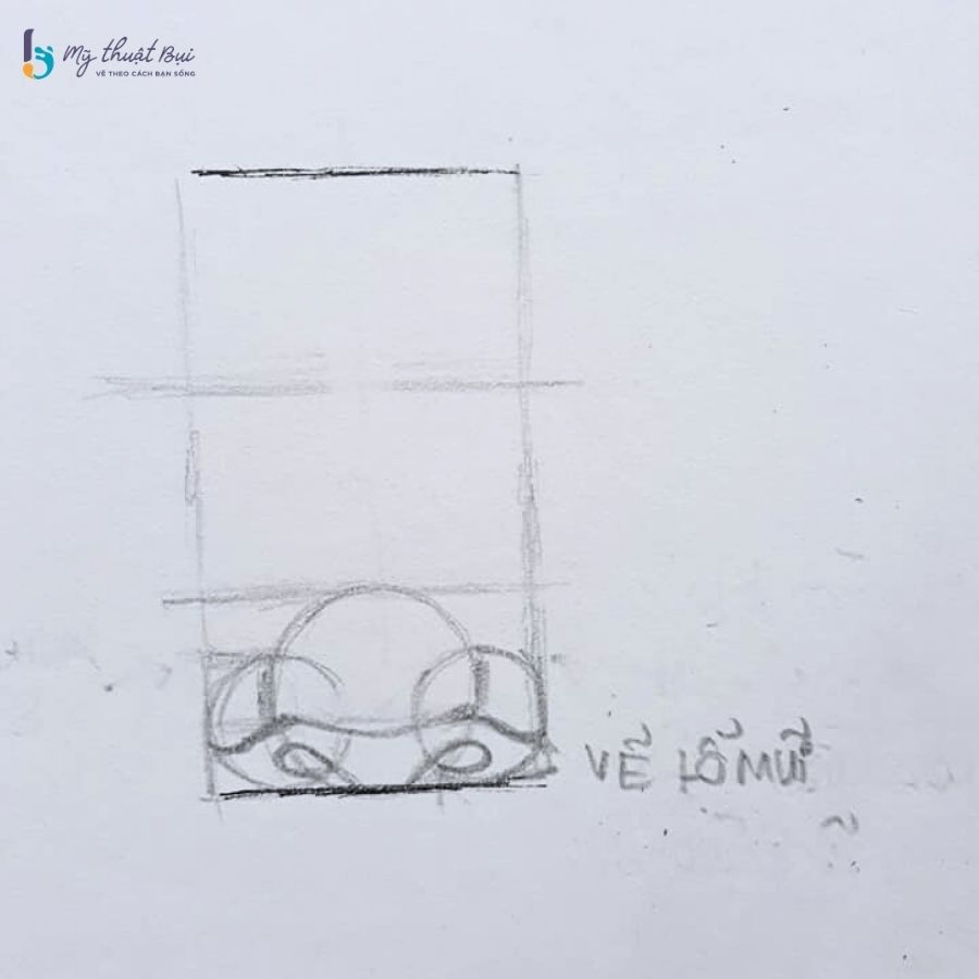 Xác định vị trí lỗ mũi