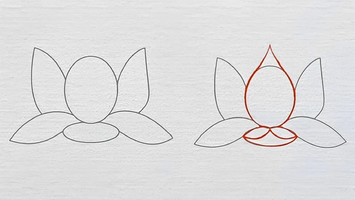 Cách vẽ hình hoa sen đơn giản Cách vẽ hình hoa sen đơn giản