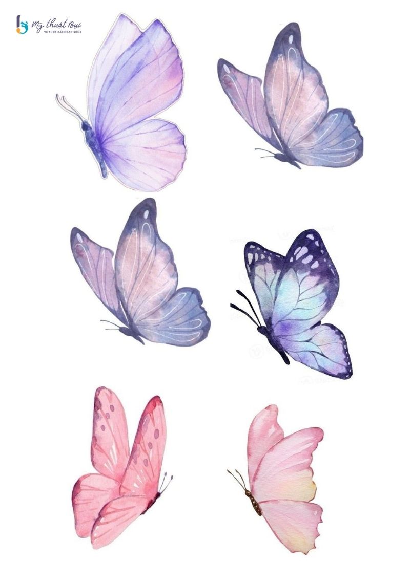 Hình vẽ con bướm đẹp