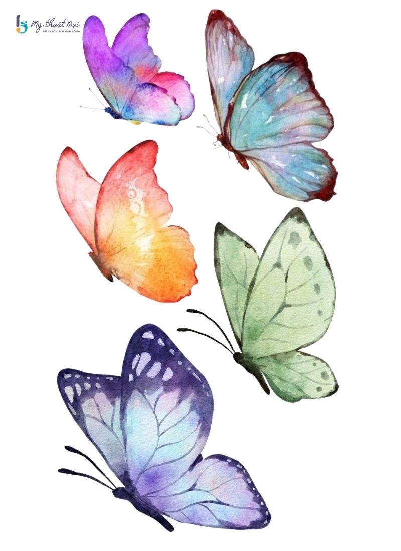 Hình vẽ con bướm đẹp