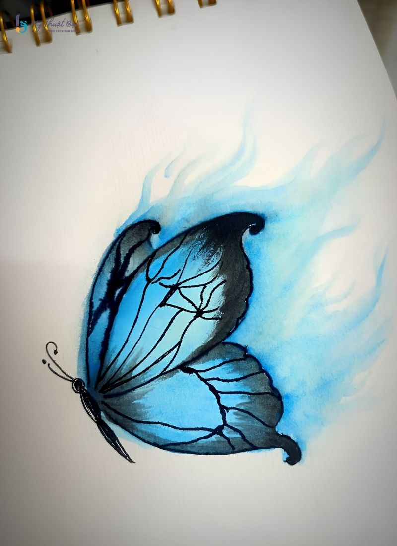 Hình vẽ con bướm đẹp