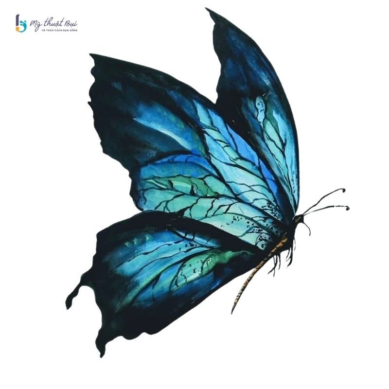 Hình vẽ con bướm đẹp