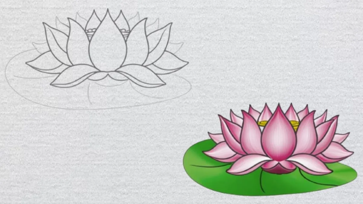 Lên màu và hoàn thiện tranh hoa sen Lên màu và hoàn thiện tranh hoa sen