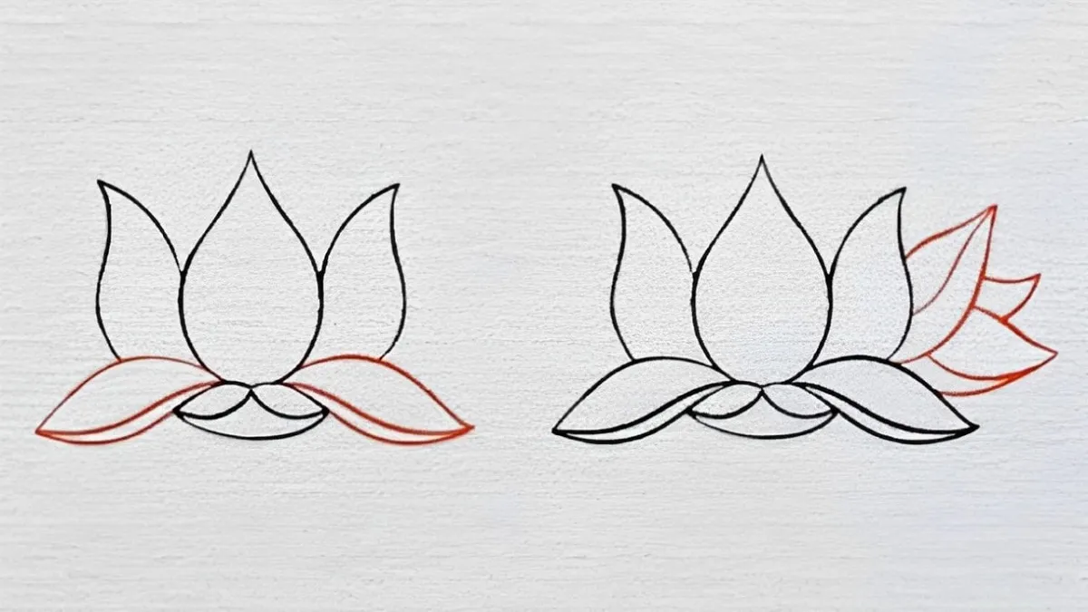 Phác thảo hình dáng hoa sen Phác thảo hình dáng hoa sen
