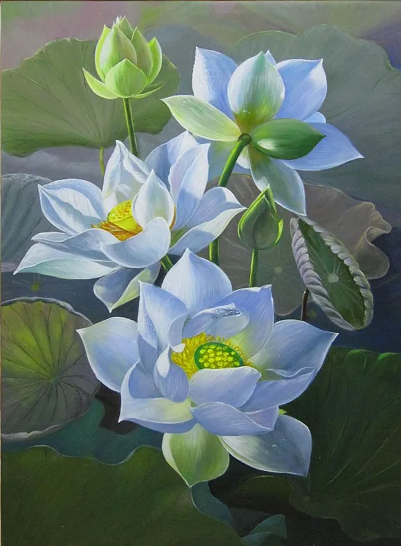 Tranh vẽ hoa sen đẹp