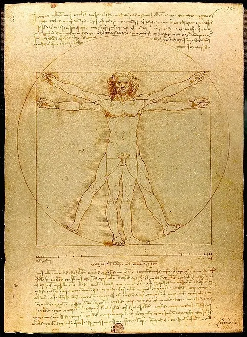 Bản vẽ Người Vitruvius Vitruvian Man của danh họa Leonardo da Vinci Bản vẽ Người Vitruvius Vitruvian Man của danh họa Leonardo da Vinci