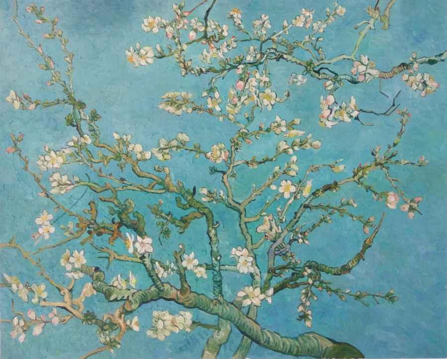 Cành Hạnh Nhân Nở Hoa - Almond Blossom (1890) Cành Hạnh Nhân Nở Hoa - Almond Blossom (1890)