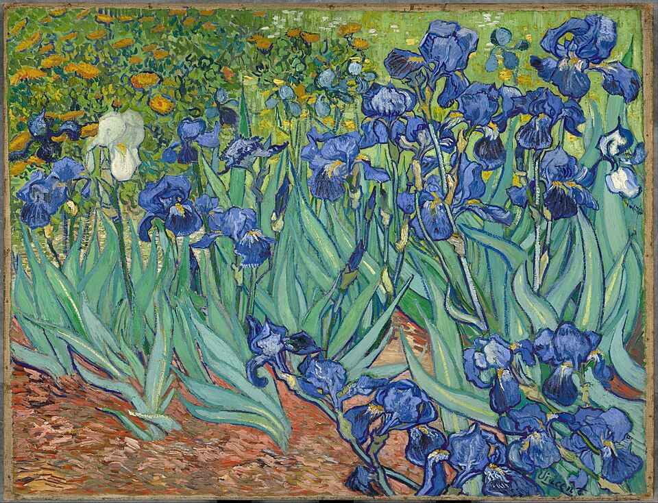 Tranh van Gogh Hoa Diên Vĩ - Irises (1889)
